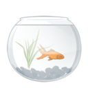 Иконка аквариум - рыбы, аквариум