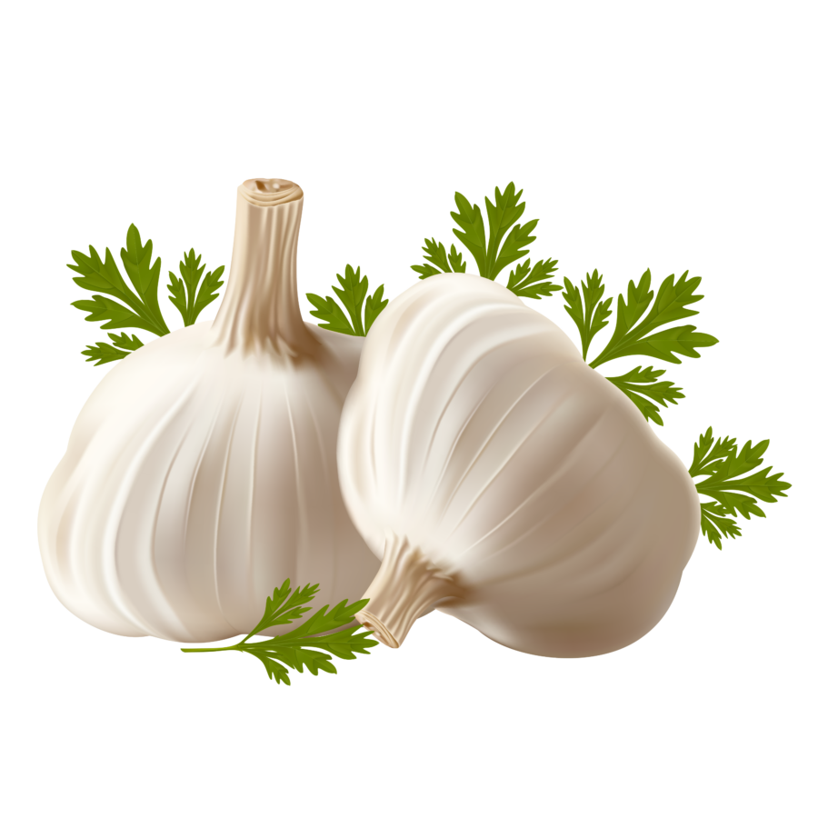Чеснок на прозрачном фоне (PNG) - чеснок, овощи, еда