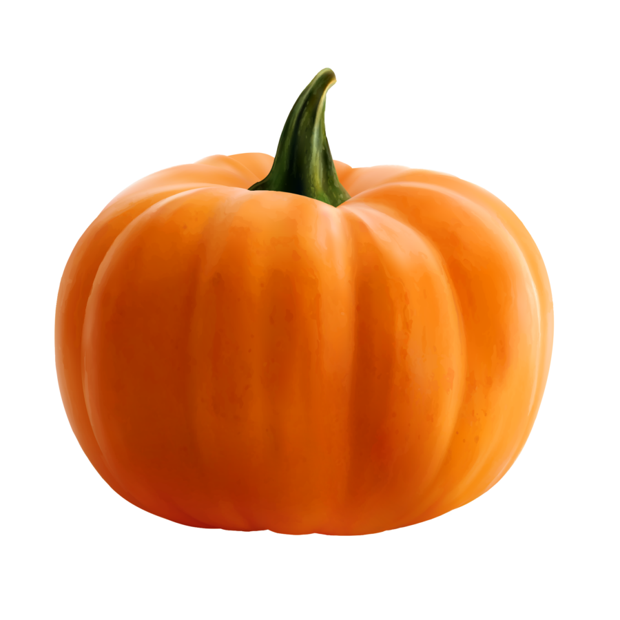 Свежая тыква - хеллоуин, тыква, овощ, еда