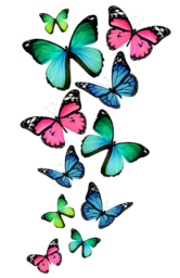 Бабочки на прозрачном фоне - насекомые, бабочки