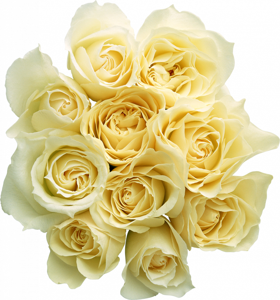 Белые розы - цветы, розы, букет