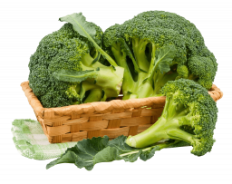 Брокколи - продукты, овощи, еда, брокколи
