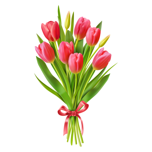Букет тюльпанов в png (пнг) формате без фона