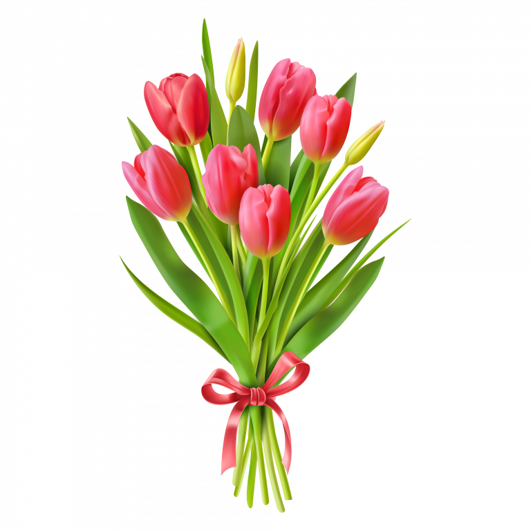 Букет тюльпанов в png (пнг) формате без фона