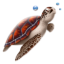 Иконка черепаха