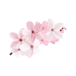 Цветки сакуры - цветы, украшения, сакура, растения