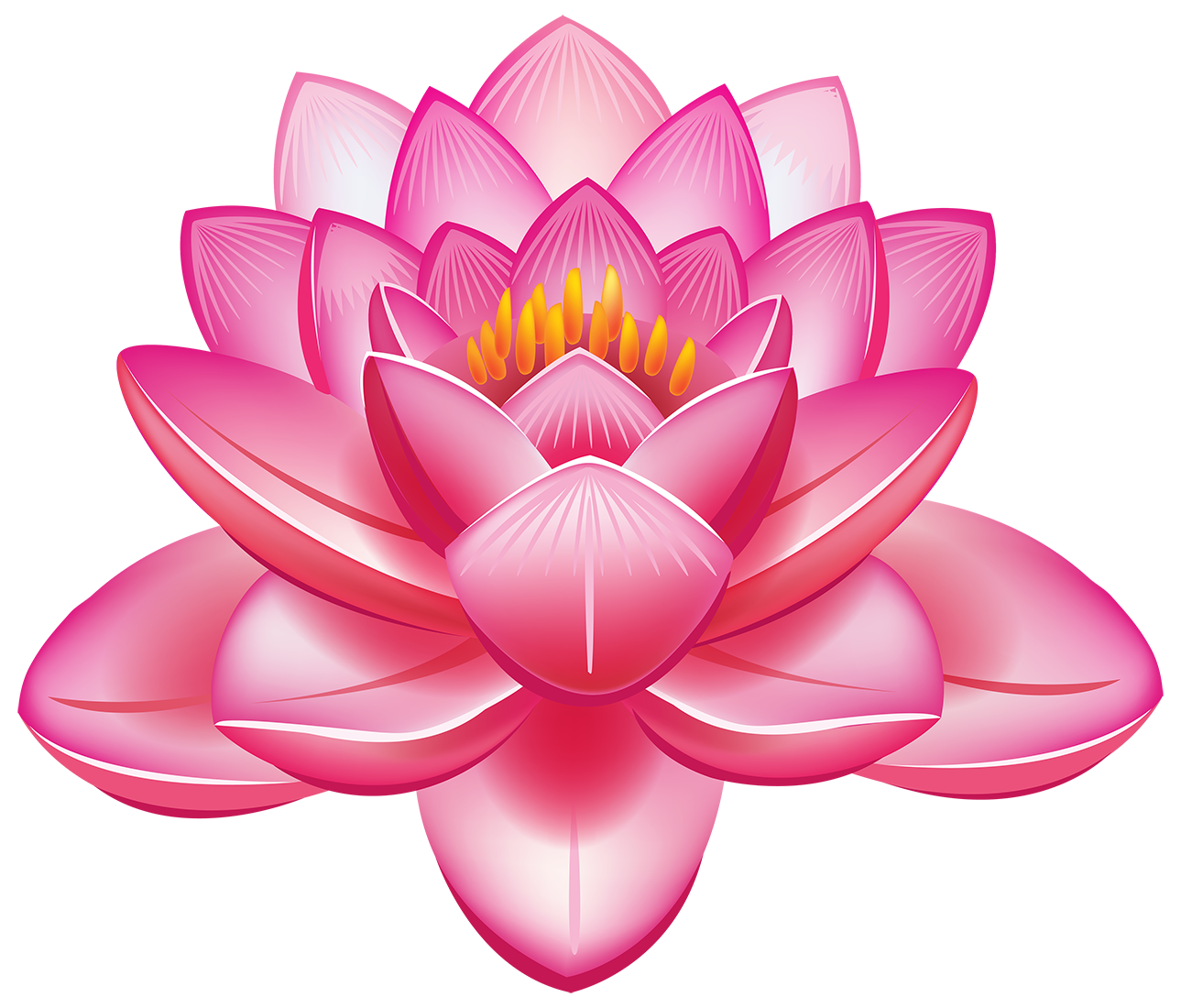 Картинка цветок лотоса - цветы, растения, лотос