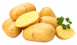 Свежая картошка - овощи, картошка, картофель, еда