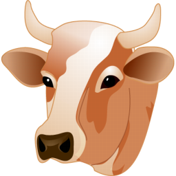 Корова - корова, животные, домашние животные, голова