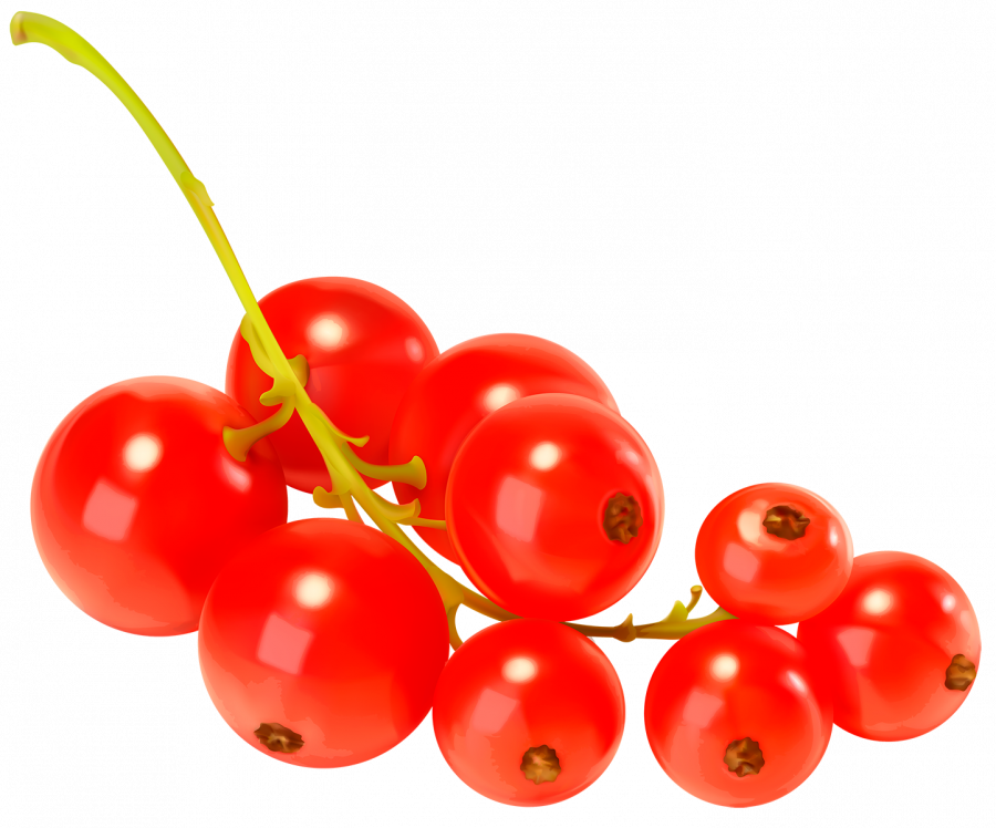 Красная смородина - ягоды, смородина