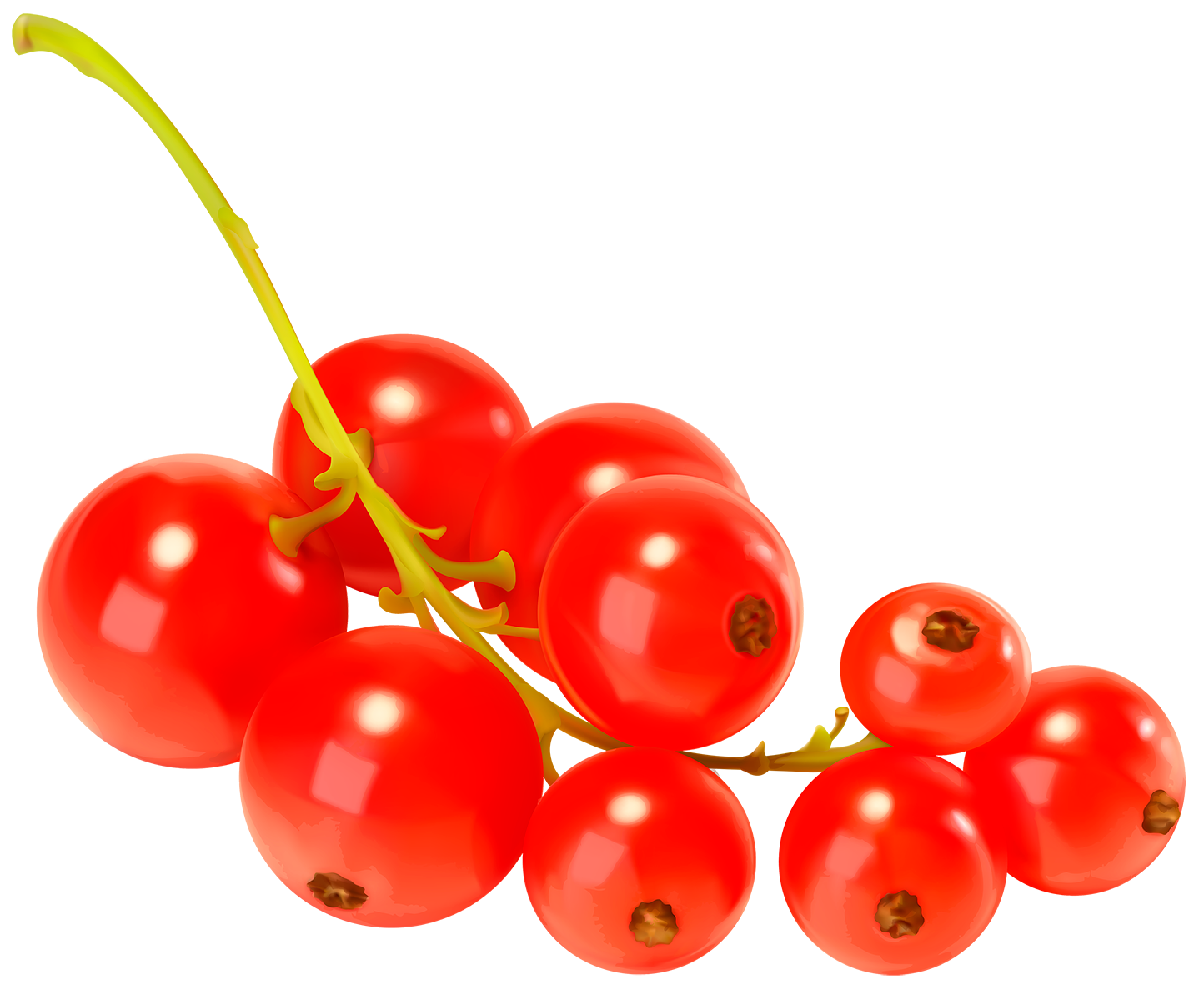 Красная смородина - ягоды, смородина