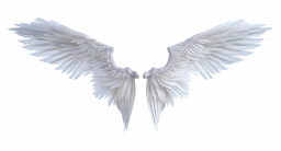 Крылья ангела - перья, крылья, ангел