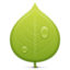 Иконка зелёный лист