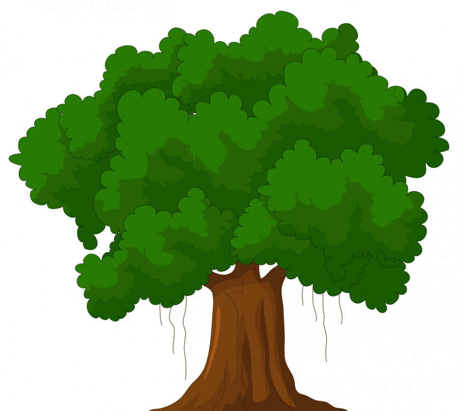 Картинка нарисованное дерево - растения, деревня