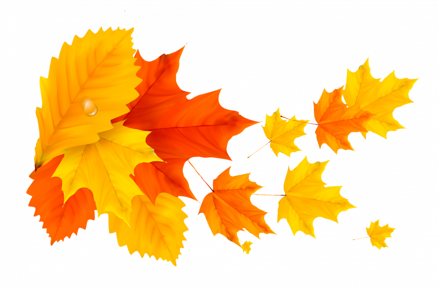 Осенние листья на прозрачном фоне - осень, листья