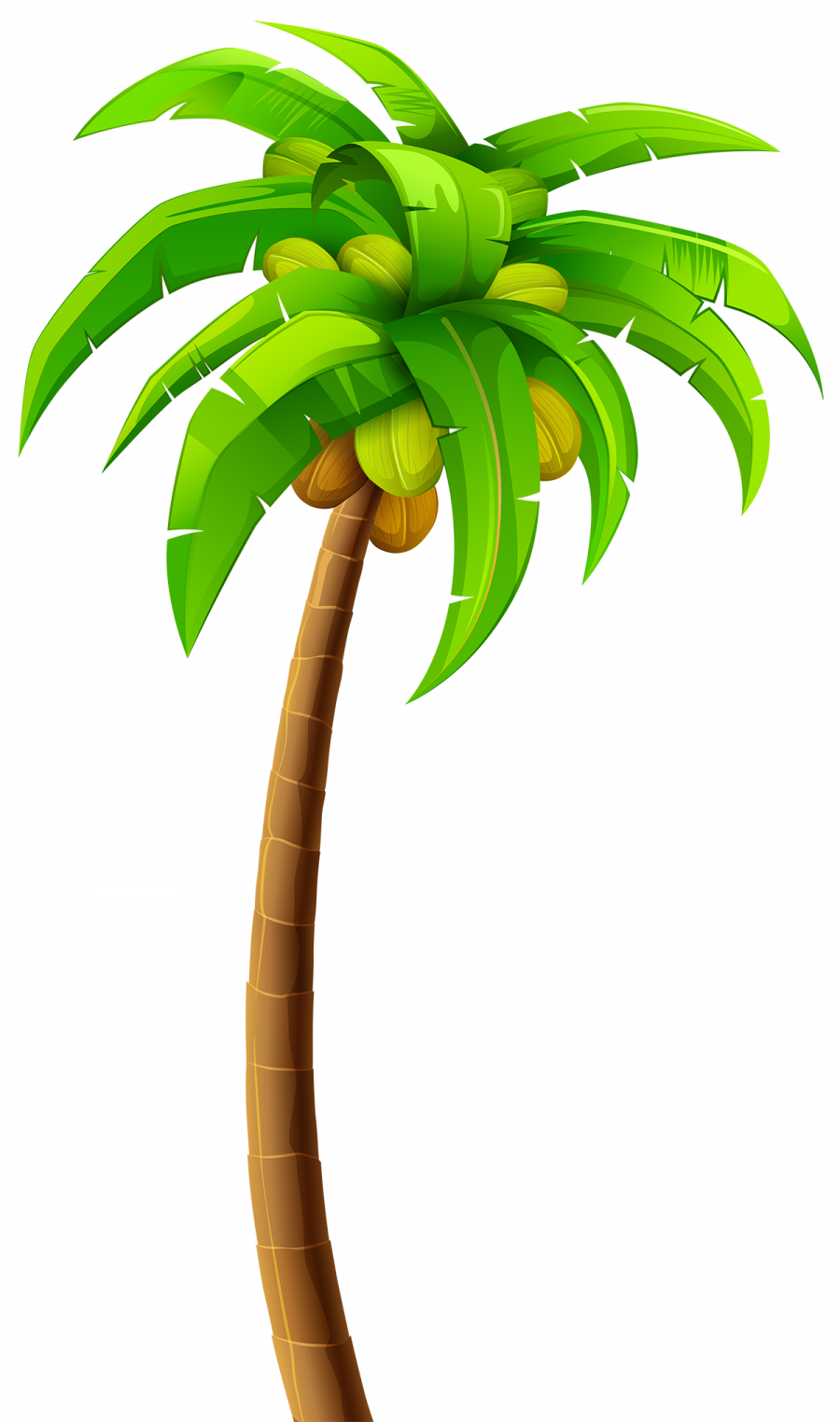 Пальма - туризм, растения, пальма, деревья