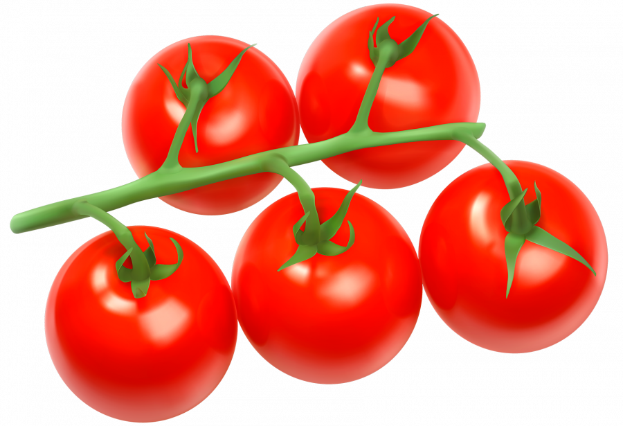 Помидоры png - томат, помидоры, овощи