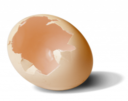 Яичная скорлупа - яйцо, скорлупа
