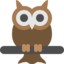 Иконка сова